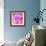 Photomontage of Two Blossoms in Pink Ones-Alaya Gadeh-Framed Photographic Print displayed on a wall