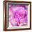 Photomontage of Two Blossoms in Pink Ones-Alaya Gadeh-Framed Photographic Print