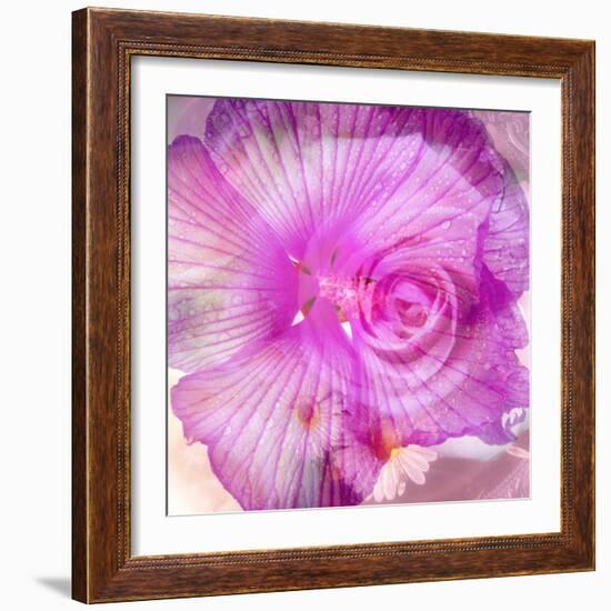 Photomontage of Two Blossoms in Pink Ones-Alaya Gadeh-Framed Photographic Print