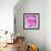 Photomontage of Two Blossoms in Pink Ones-Alaya Gadeh-Framed Photographic Print displayed on a wall