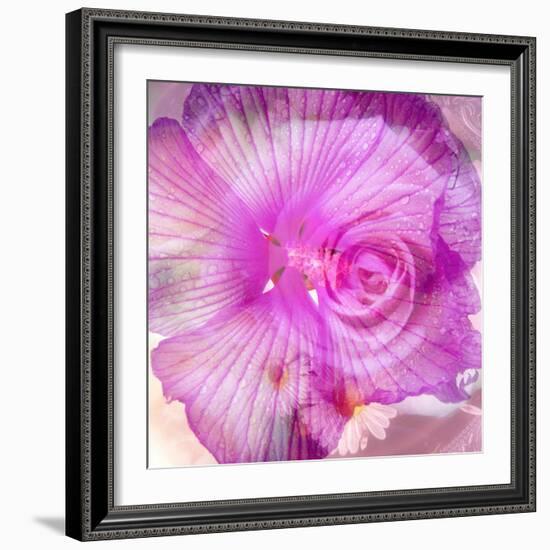 Photomontage of Two Blossoms in Pink Ones-Alaya Gadeh-Framed Photographic Print