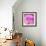 Photomontage of Two Blossoms in Pink Ones-Alaya Gadeh-Framed Photographic Print displayed on a wall