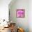 Photomontage of Two Blossoms in Pink Ones-Alaya Gadeh-Framed Premier Image Canvas displayed on a wall