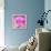 Photomontage of Two Blossoms in Pink Ones-Alaya Gadeh-Framed Premier Image Canvas displayed on a wall