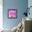 Photomontage of Two Blossoms in Pink Ones-Alaya Gadeh-Framed Premier Image Canvas displayed on a wall