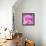 Photomontage of Two Blossoms in Pink Ones-Alaya Gadeh-Framed Premier Image Canvas displayed on a wall