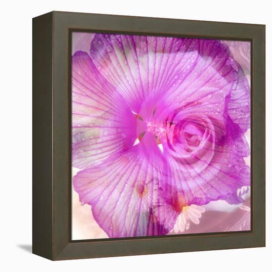 Photomontage of Two Blossoms in Pink Ones-Alaya Gadeh-Framed Premier Image Canvas