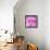 Photomontage of Two Blossoms in Pink Ones-Alaya Gadeh-Framed Premier Image Canvas displayed on a wall