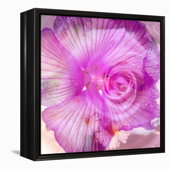 Photomontage of Two Blossoms in Pink Ones-Alaya Gadeh-Framed Premier Image Canvas