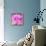 Photomontage of Two Blossoms in Pink Ones-Alaya Gadeh-Framed Premier Image Canvas displayed on a wall