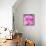 Photomontage of Two Blossoms in Pink Ones-Alaya Gadeh-Framed Premier Image Canvas displayed on a wall