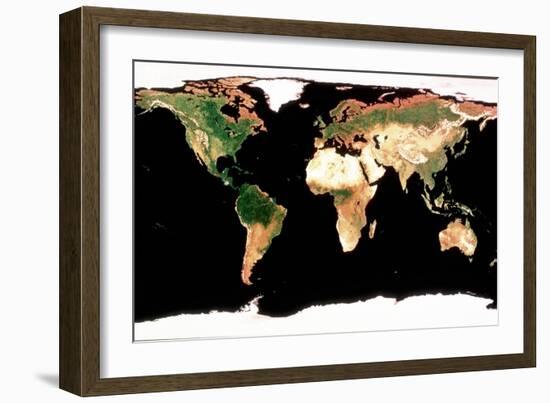 Photomosaic of Earth Without Cloud Cover-null-Framed Giclee Print