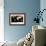 Photomosaic of Earth Without Cloud Cover-null-Framed Giclee Print displayed on a wall