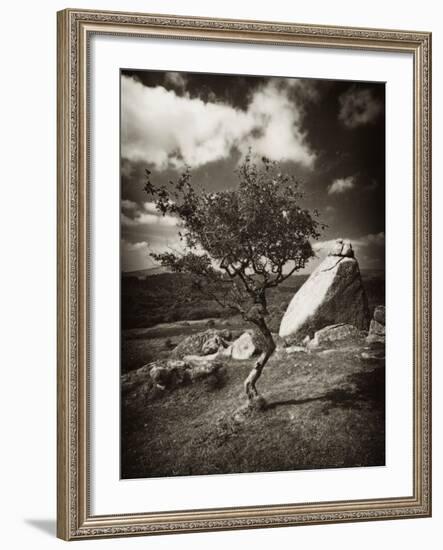 Photospace-David Baker-Framed Photographic Print