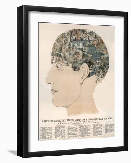 Phrenological Head-R.b.d. Wells-Framed Photographic Print