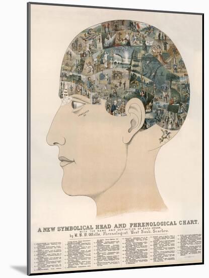 Phrenological Head-R.b.d. Wells-Mounted Photographic Print