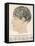 Phrenological Head-R.b.d. Wells-Framed Premier Image Canvas