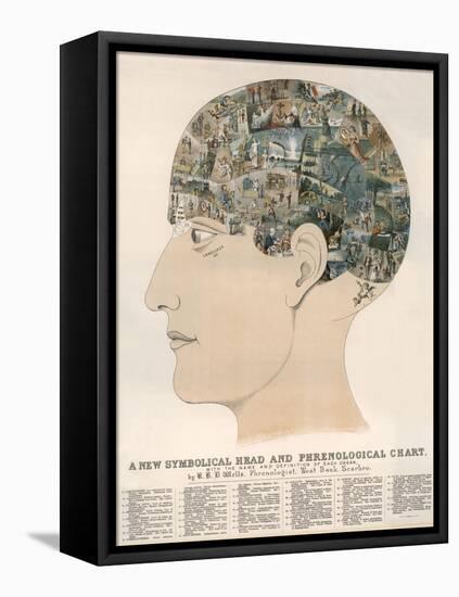 Phrenological Head-R.b.d. Wells-Framed Premier Image Canvas