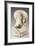 Phrenology, Bust, 1860-Lorenzo Niles Fowler-Framed Giclee Print