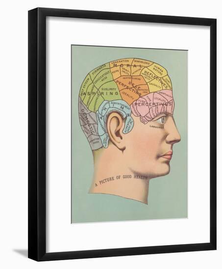 Phrenology Chart of Head-null-Framed Art Print