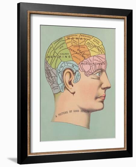 Phrenology Chart of Head-null-Framed Art Print