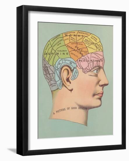 Phrenology Chart of Head-null-Framed Art Print