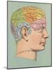 Phrenology Chart of Head-null-Mounted Art Print