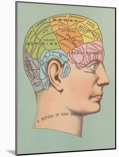 Phrenology Chart of Head-null-Mounted Art Print