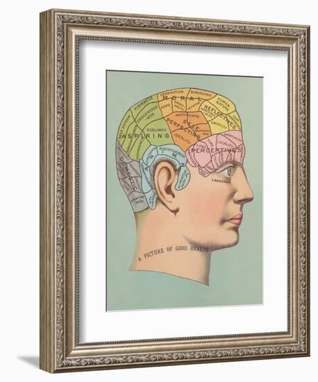 Phrenology Chart of Head-null-Framed Art Print