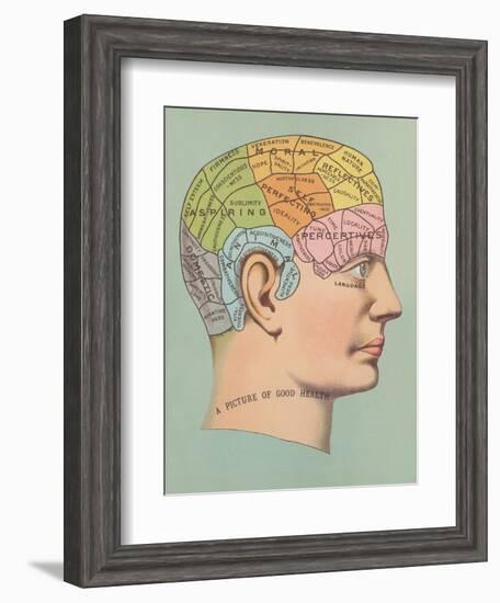 Phrenology Chart of Head-null-Framed Art Print