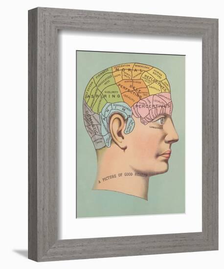 Phrenology Chart of Head-null-Framed Art Print