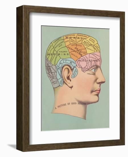 Phrenology Chart of Head-null-Framed Art Print