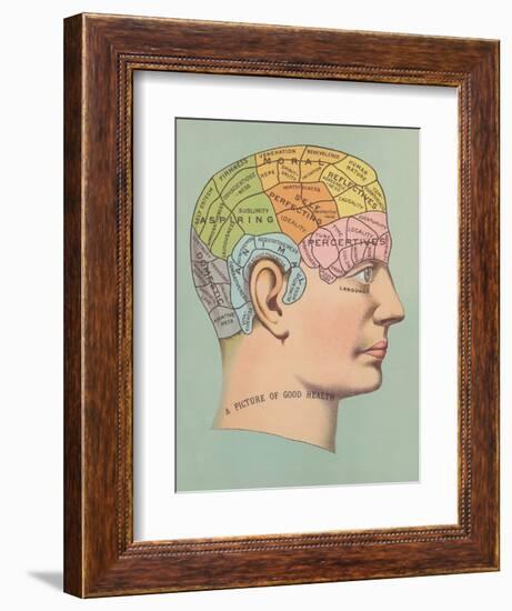 Phrenology Chart of Head-null-Framed Art Print