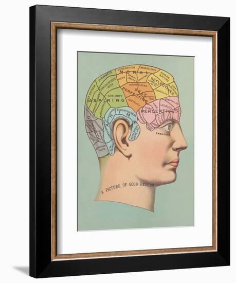 Phrenology Chart of Head-null-Framed Art Print