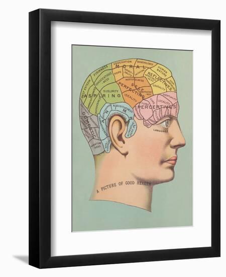 Phrenology Chart of Head-null-Framed Art Print