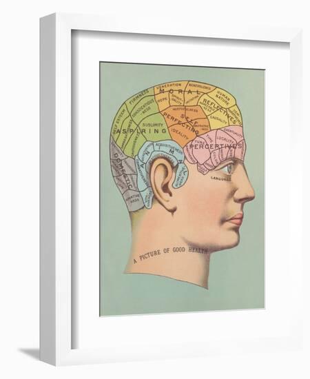 Phrenology Chart of Head-null-Framed Art Print