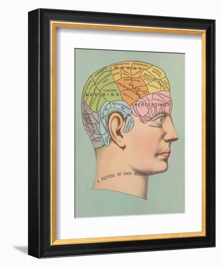 Phrenology Chart of Head-null-Framed Art Print