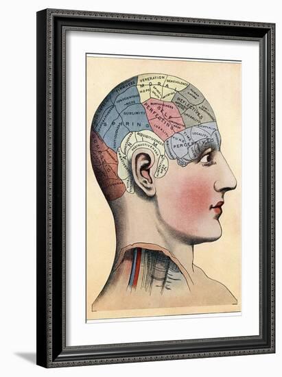 Phrenology Chart, Showing Presumed Areas of Activity of the Brain, C1920-null-Framed Giclee Print