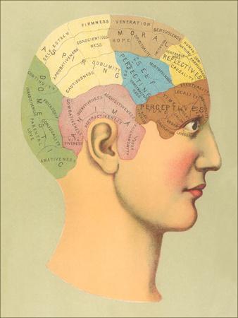 Phrenology Chart Poster