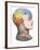 Phrenology Model of the Locations of the Various Organs of Mind in the Human Head-null-Framed Giclee Print