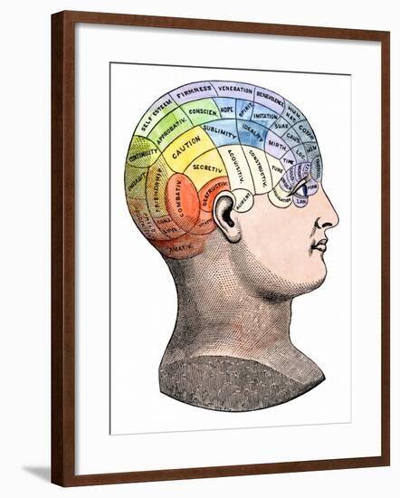 Phrenology Model of the Locations of the Various Organs of Mind in the Human Head-null-Framed Giclee Print