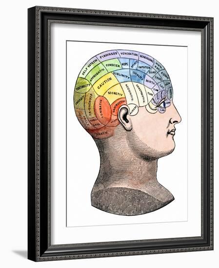 Phrenology Model of the Locations of the Various Organs of Mind in the Human Head-null-Framed Giclee Print