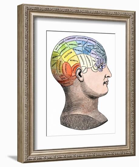 Phrenology Model of the Locations of the Various Organs of Mind in the Human Head-null-Framed Giclee Print