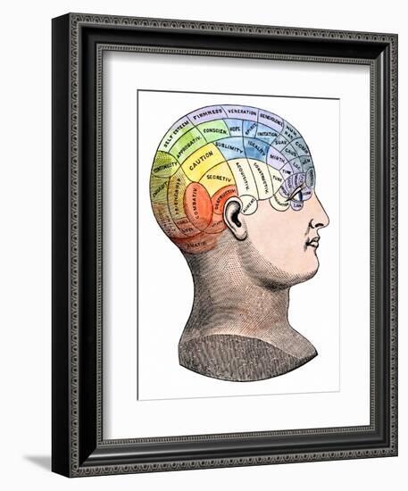 Phrenology Model of the Locations of the Various Organs of Mind in the Human Head-null-Framed Giclee Print
