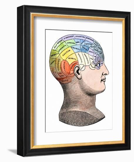 Phrenology Model of the Locations of the Various Organs of Mind in the Human Head-null-Framed Giclee Print