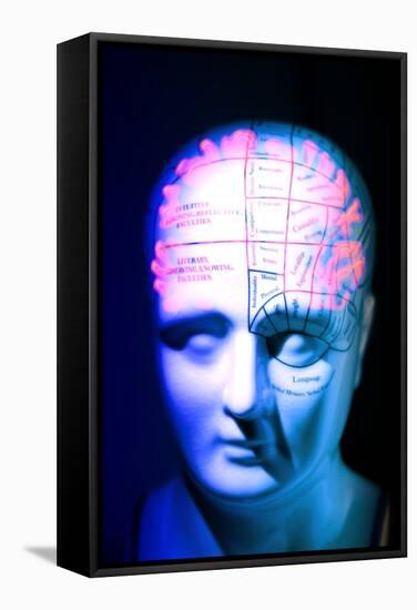 Phrenology Model-PASIEKA-Framed Premier Image Canvas