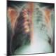 Premium Photographic Print
