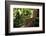 Phuket horned tree lizard, Khao Phra Thaew NP, Thailand-Robert Valentic-Framed Photographic Print