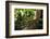 Phuket horned tree lizard, Khao Phra Thaew NP, Thailand-Robert Valentic-Framed Photographic Print