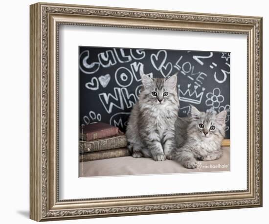 Phyllis & Jo-Rachael Hale-Framed Photographic Print